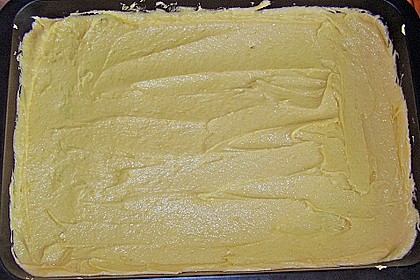 Apfelkuchen 31