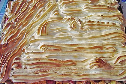 Rhabarberkuchen 22