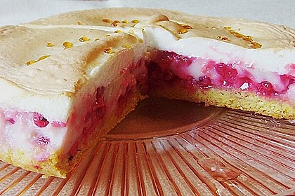 Rhabarberkuchen 11