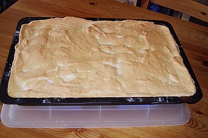 Rhabarberkuchen 18
