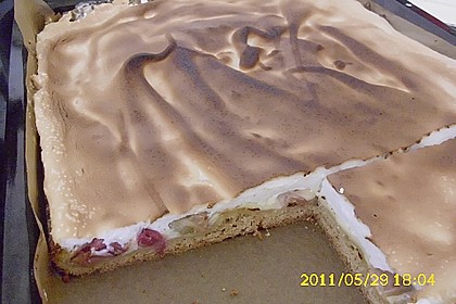 Rhabarberkuchen 19