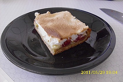 Rhabarberkuchen 17