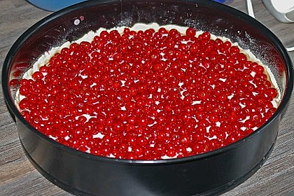 Rhabarberkuchen 36