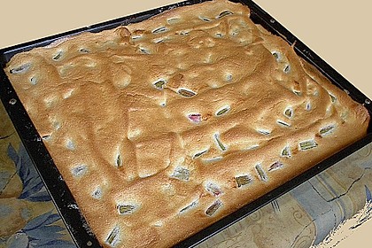 Rhabarberkuchen 21