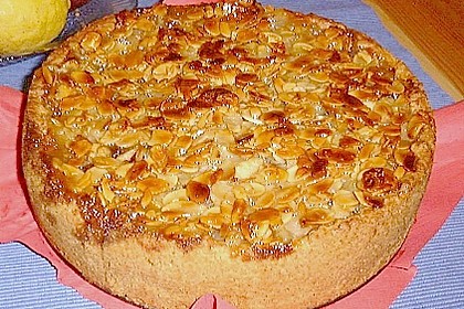 Apfelkuchen mit Bienenstichdecke 2