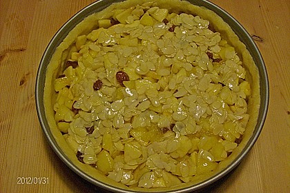 Apfelkuchen mit Bienenstichdecke 28