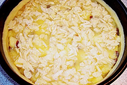 Apfelkuchen mit Bienenstichdecke 9