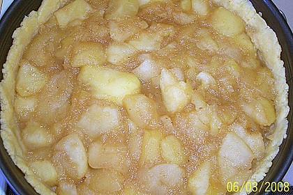 Apfelkuchen mit Bienenstichdecke 14