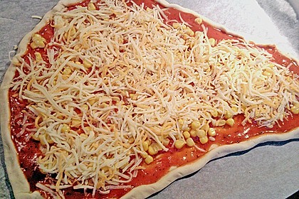 Pizzateig 111
