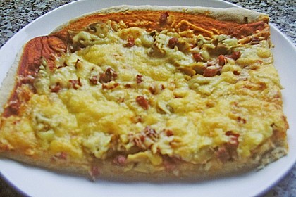 Pizzateig 154