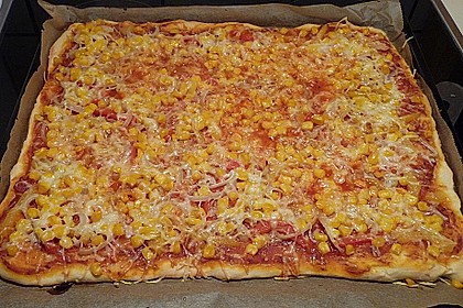 Pizzateig 65