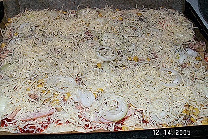 Pizzateig 113