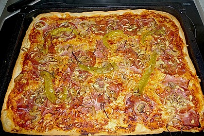 Pizzateig 43