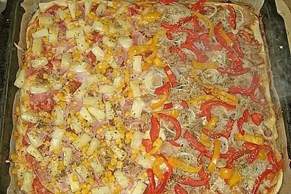 Pizzateig 112