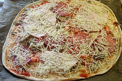 Pizzateig 103