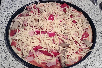 Pizzateig 148