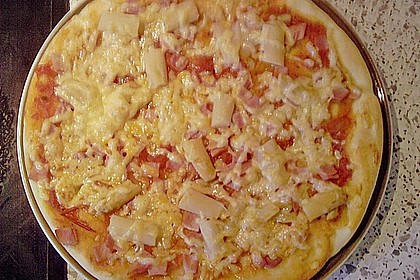 Pizzateig 146