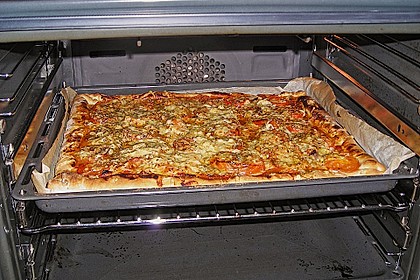 Pizzateig 22