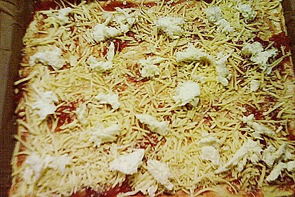 Pizzateig 150
