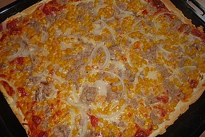 Pizzateig 104