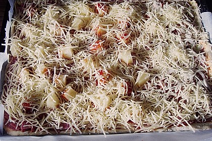 Pizzateig 114
