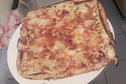 Pizzateig 161