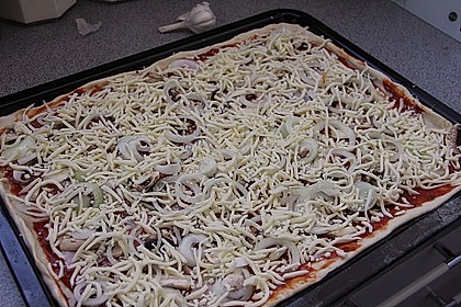Pizzateig 106