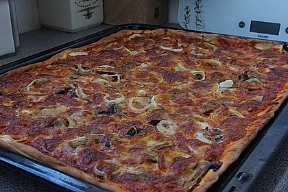 Pizzateig 107