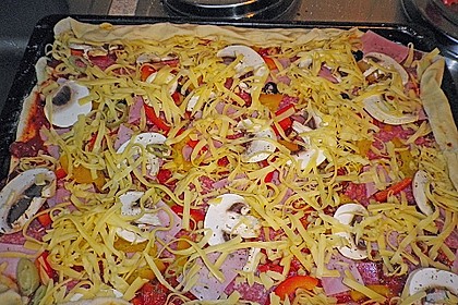 Pizzateig 133