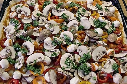 Pizzateig 67