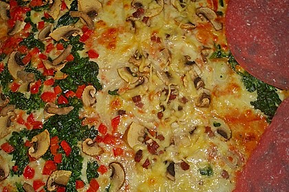 Pizzateig 134
