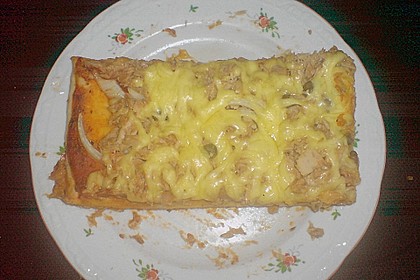 Pizzateig 153