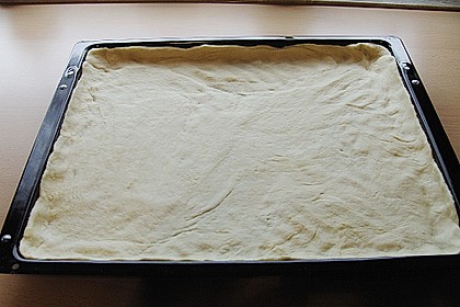 Pizzateig 11