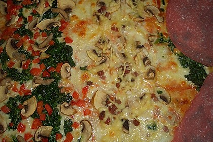 Pizzateig 116