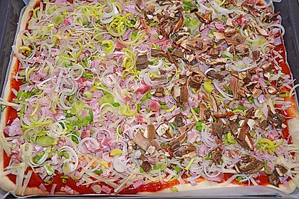 Pizzateig 99