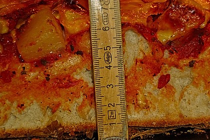 Pizzateig 96