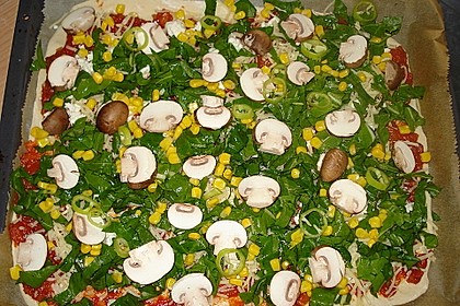 Pizzateig 98
