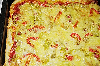 Pizzateig 155