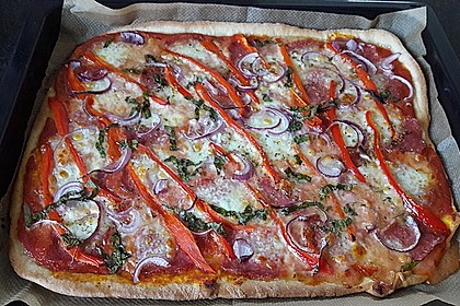 Pizzateig 49