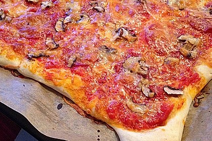 Pizzateig 51