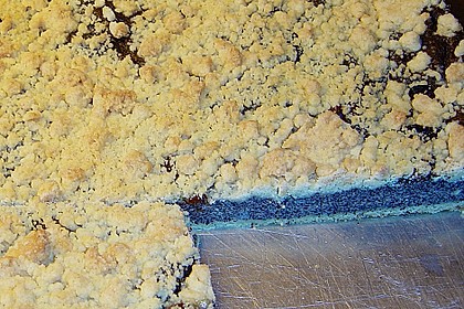 Mohnkuchen mit Vanillepudding nach Anna 12