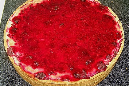 Sina`s leckerer Himbeerpuddingkuchen 22
