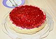 Sina`s leckerer Himbeerpuddingkuchen