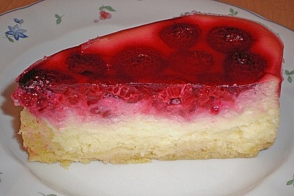 Sina`s leckerer Himbeerpuddingkuchen 26