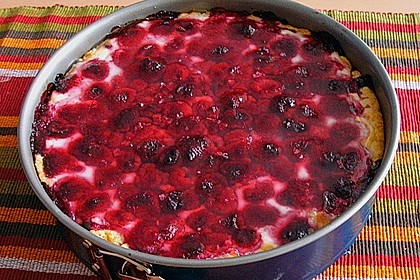 Sina`s leckerer Himbeerpuddingkuchen 32