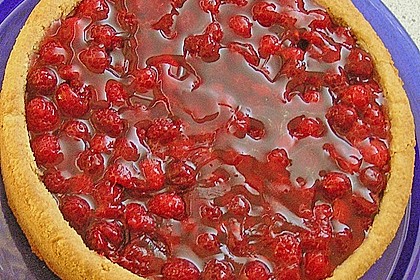 Sina`s leckerer Himbeerpuddingkuchen 42
