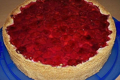 Sina`s leckerer Himbeerpuddingkuchen 43