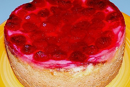 Sina`s leckerer Himbeerpuddingkuchen 45