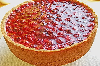 Sina`s leckerer Himbeerpuddingkuchen 46