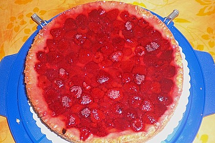 Sina`s leckerer Himbeerpuddingkuchen 50